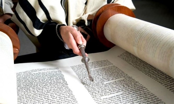 Hand of person reading the Torah